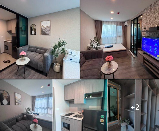 Brixton Pet&play Sukhumvit107